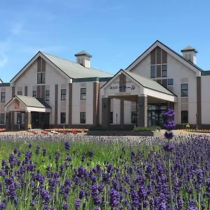 3* Hotel Furano La Terre